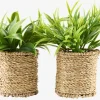 BERTRAMPlante artificielle BERTRAM Ø8xH18cm assorti