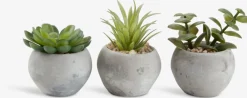 BRORPlante artificielle BROR Ø7xH9cm ass.