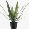 CELIUSPlante artificielle CELIUS H39cm vert