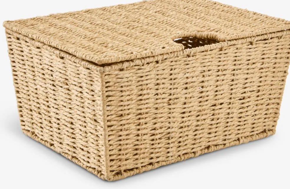 ESPENBoîte de rangement ESPEN l40xL27xH19cm a/couvercle