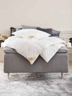 GEITTINDENGoldOreiller en duvet de canard 60x63/70 KRONBORG GEITTINDEN