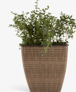 ISLOMPanier pour plantes ISLOM 38x38x39 assorti
