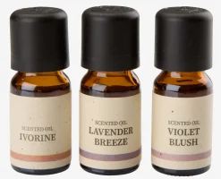 LEONHuile parfumée LEON 10ml 3pcs/pqt