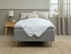MASIBasicCouette synthétique 240x220 MASI légère