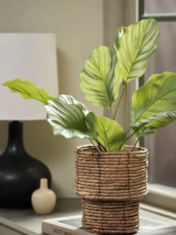 ROLFPlante artificielle ROLF H55cm vert