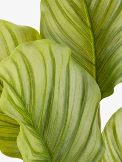 ROLFPlante artificielle ROLF H55cm vert