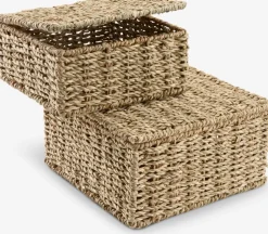 SENNANBoîte de rangement SENNAN a/couvercle herbier marin 2 pcs.