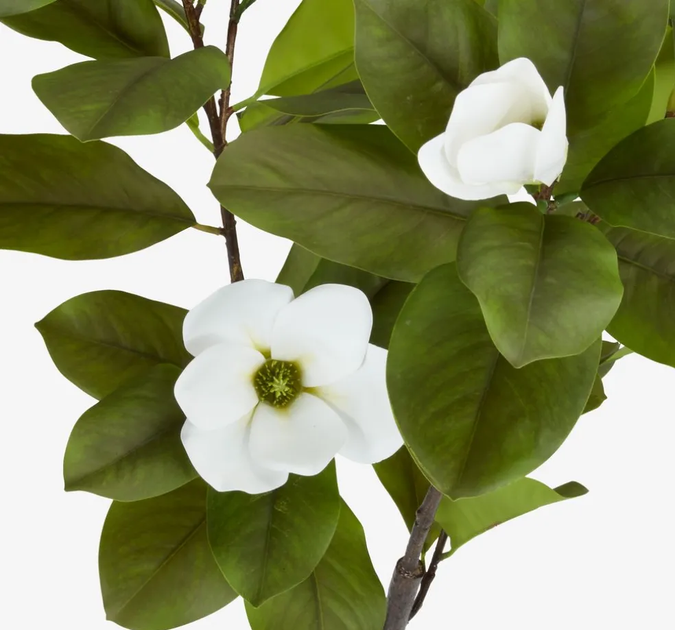 SPINDELPlante artificielle SPINDEL H120cm magnolia vert/blanc