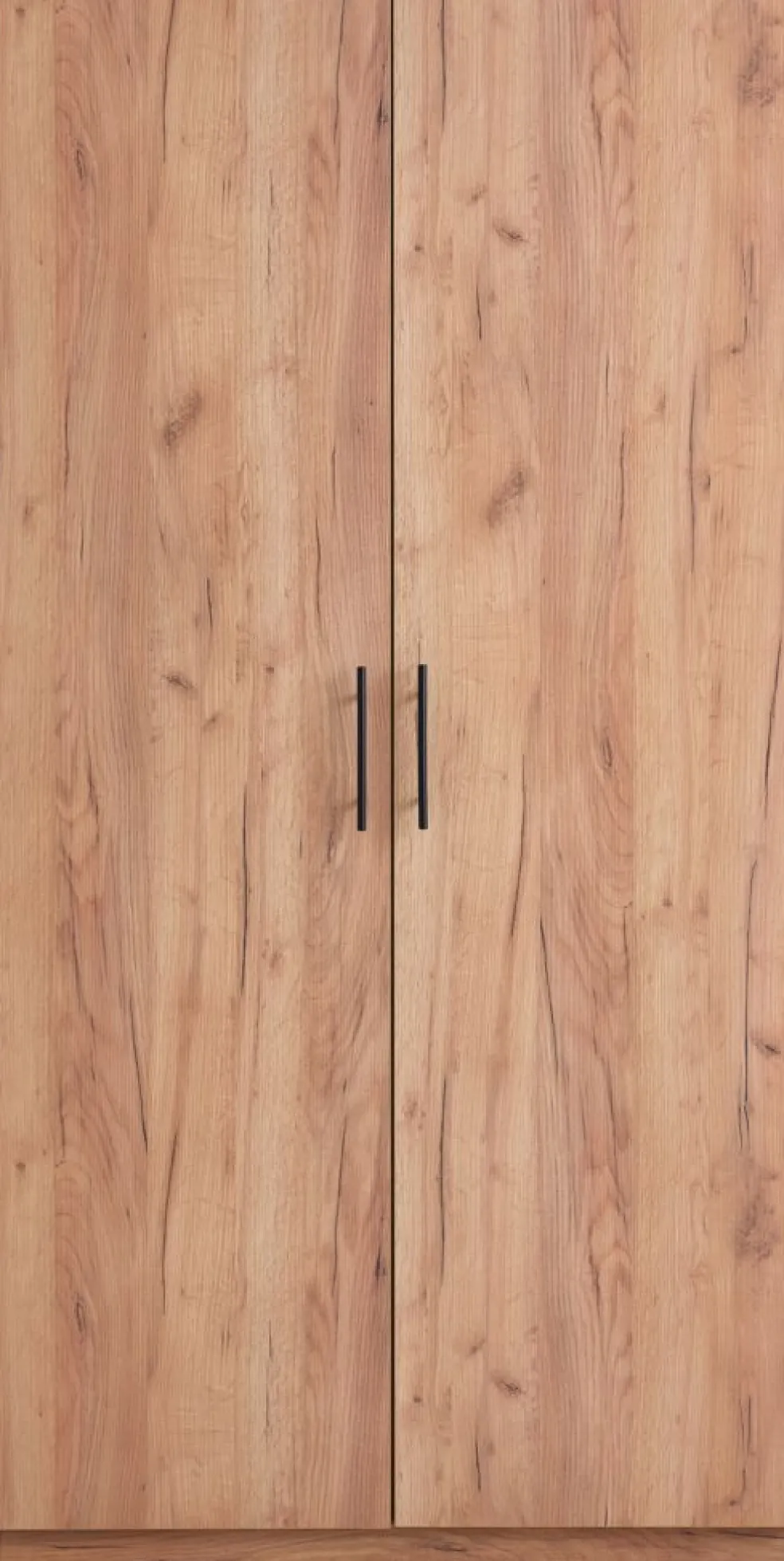 VIBYArmoire VIBY 101x200 2 portes coloris chêne naturel